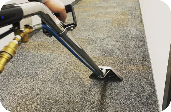 Carpet Cleaning Gosford
