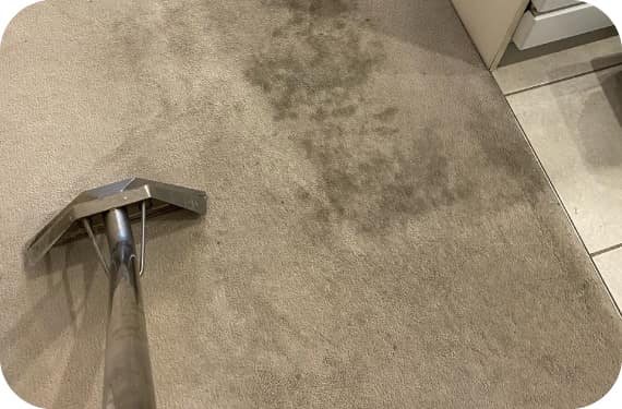 Same Day Carpet Cleaning In Gosford